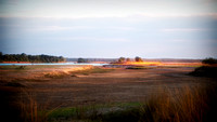 Dry season here at South Luangwa